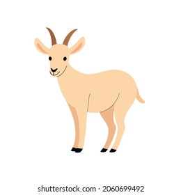 Illustration goat  Simple flat vector illustration 