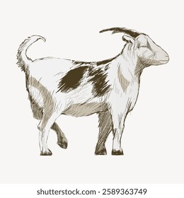 Illustration of a goat in a sketch style. The goat is depicted in a side view, showcasing its horns and distinct markings. Sketch of a goat in earthy tones. Vintage animal illustration vector.