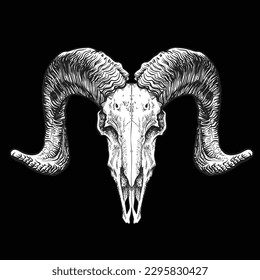 Illustration with goat skull. Hand drawn. Vector

