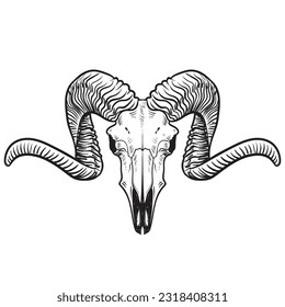 Illustration with goat skull. Hand drawn. Vector
