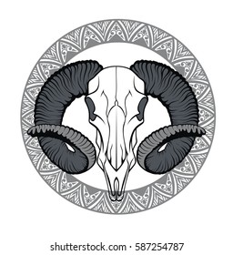 Illustration with goat skull. Hand drawn