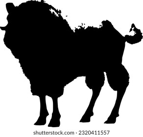 illustration of goats and sheep, suitable for qurban logos or coupons, Eid al-Adha and Eid Hajj