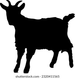 illustration of goats and sheep, suitable for qurban logos or coupons, Eid al-Adha and Eid Hajj