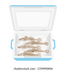 Illustration of a goby in a cooler box.