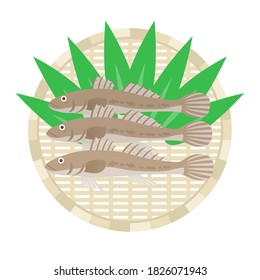 Ilustración de goby sobre un colador.