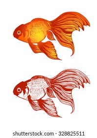 Illustration of Gold Fish Variations Over White Background