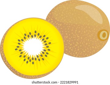 Illustration of gold kiwi fruits