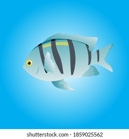 Illustration gold rare fish vector hand drawn for picture book education in school