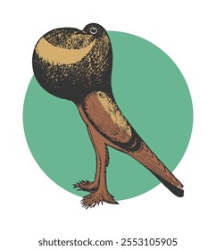 illustration of a golden brown decorative dove in a graceful pose placed on a light green circle