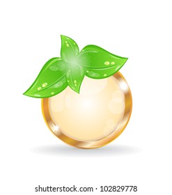 Illustration golden circle frame with eco leaves - vector