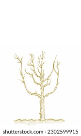 illustration of a golden dead tree on a white background