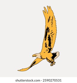 Illustration of a golden eagle in flight, wings spread wide. The eagle's detailed feathers and strong beak are prominent. Majestic bird of prey in motion. Vintage bird illustration vector.