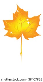 Illustration of a golden leaf