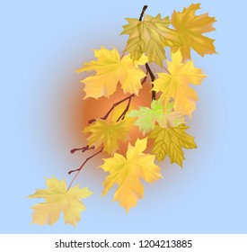 illustration with golden maple branch on light blue background