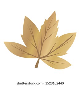 Illustration of golden maple leaf. Autumn Leaves