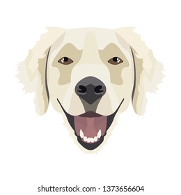 Illustration Golden Retriever | For All Dog Owners. What You Love About His Dog? Puppy Dog ​​eyes, Wagging Tail, Smiling, Barking. The Golden Retriever Is A Man's Best Friend.
