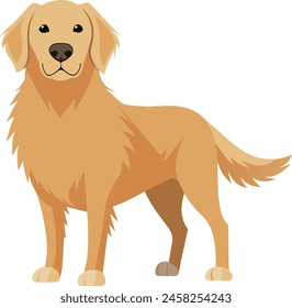 Illustration of a Golden Retriever Dog