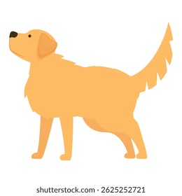 Illustration of a golden retriever dog, standing and looking up, isolated on a white background