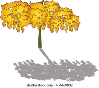 illustration with golden tree isolated on white background