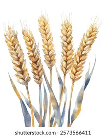  illustration of golden wheat stalks, perfect for agricultural, organic, and natural themed designs. Ideal for backgrounds, packaging, and branding. High quality, detailed, and vibrant artwork.