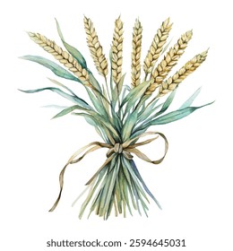  illustration of golden wheat stalks, perfect for agricultural, organic, and natural themed designs. Ideal for backgrounds, packaging, and branding. High quality, detailed, and vibrant artwork.