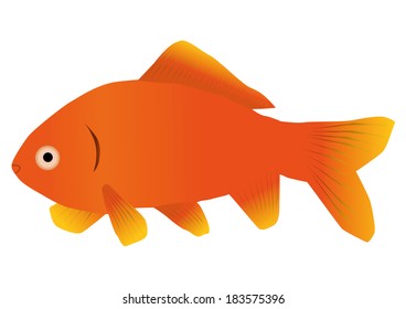 An illustration of a goldfish