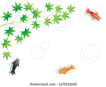 Illustration of goldfish and green maple.