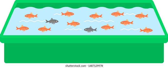 Illustration of goldfish scoop.
Illustration of Japanese festival.