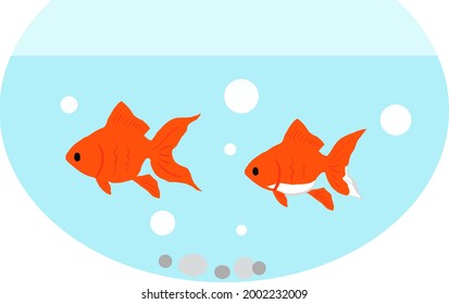 Illustration of a goldfish swimming in a goldfish bowl