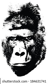 illustration of gorilla face on white background