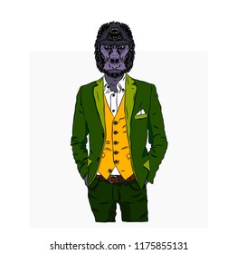 Illustration of gorilla  hipster dressed up in jacket, pants and sweater. Vector illustration