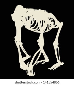 illustration with gorilla skeleton silhouette isolated on black background