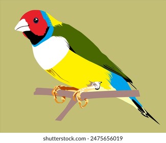 Illustration of a Gouldian finch bird above a cut tree branch