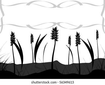 illustration of grain field