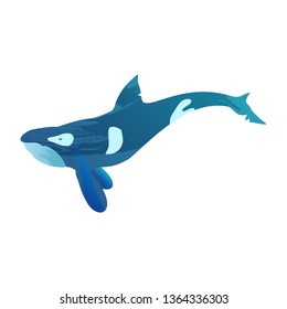 Illustration of grampus with watercolor splashes. Vector killer whale for your design.