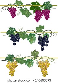 ilustración con colección de uva aislada en fondo blanco