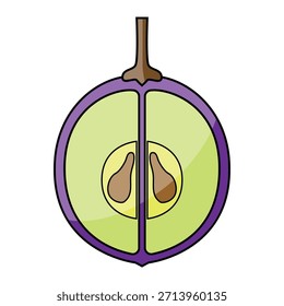 La ilustración de la fruta de la uva