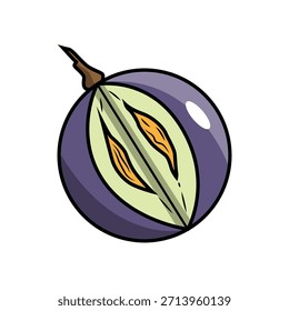 Ilustração dos frutos de uvas