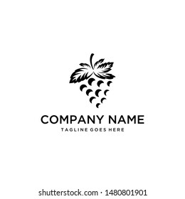 Illustration of grape fruit for wine production of the highest quality wine logo design