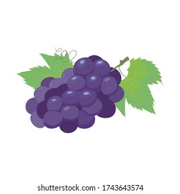 Ilustración de una uva con dos hojas