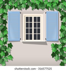 Illustration of grape vine and window with shutters