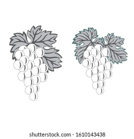 Illustration grape wine winery logo illustration