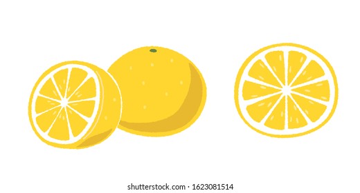 Illustration of grapefruit and sliced grapefruit.
