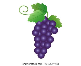 Es una ilustración de las uvas.
