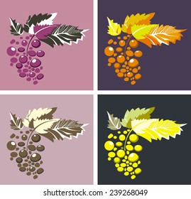 illustration of grapes