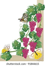 Illustration with grapes and butterflies on white background