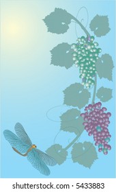 Illustration with grapes and dragonfly on dark and white background