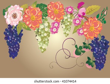 Illustration with grapes and flowers on brown background