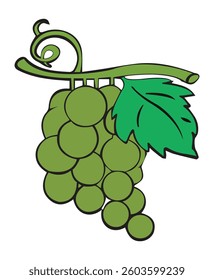 Illustration of a grapes with green leaves