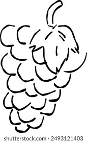 Illustration of grapes harvested in autumn.